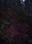 12.27.05 Triple Falls 008 